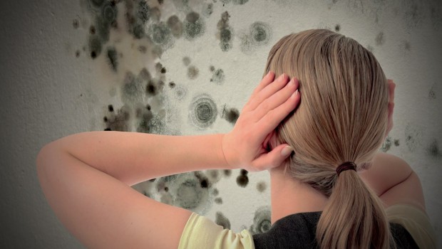 Muffa: come rimuoverla!