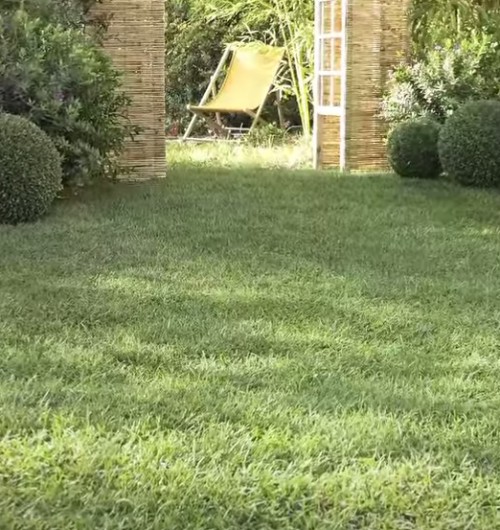 Seminare il prato [VIDEO]