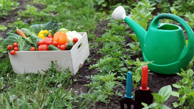 Riciclo Creativo: Orto sul Balcone