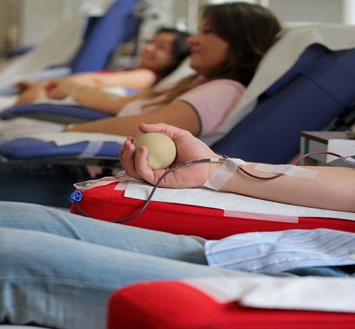 Donazione del Sangue: informazioni del BambinGesù