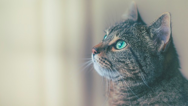 Photo by James Sutton on Unsplash