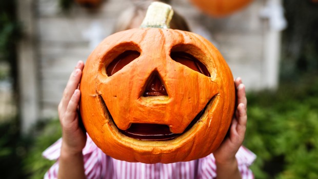 rawpixel-1084228-unsplash