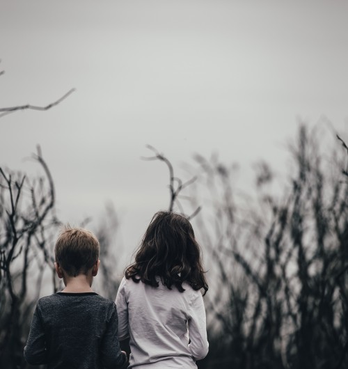 Photo by Annie Spratt on Unsplash
