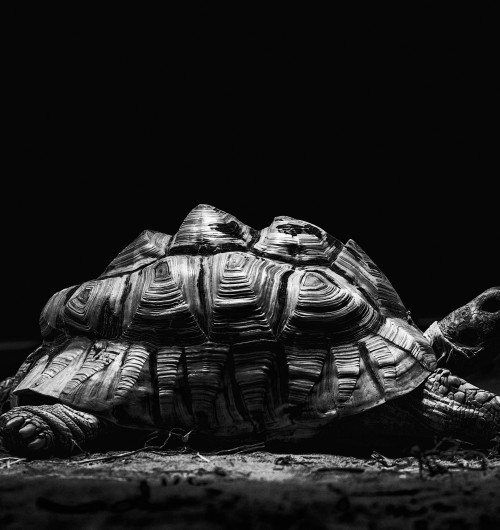 Photo by Karl Ibri on Unsplash